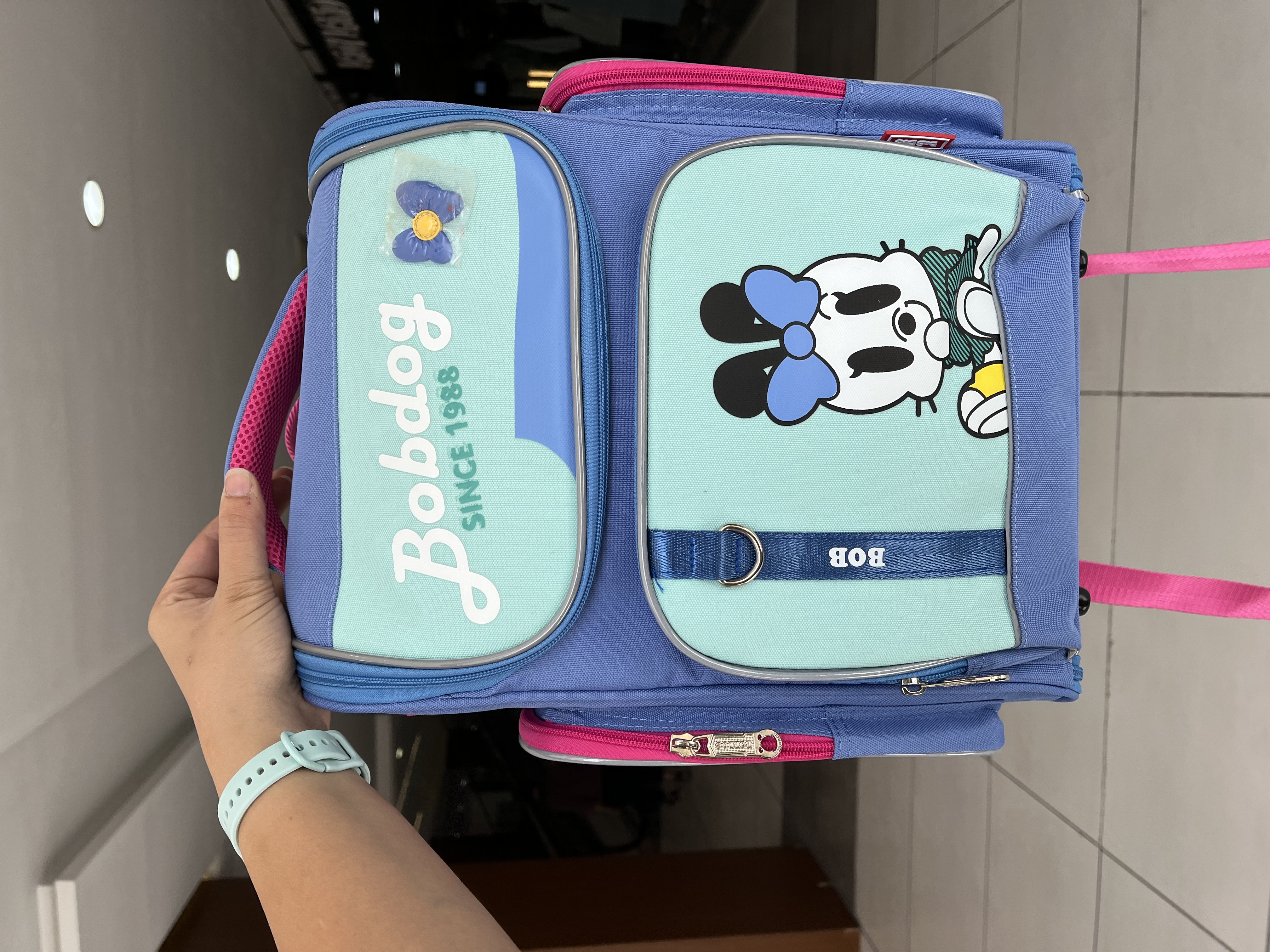 کوله پشتی صندوقی Bobdog دخترانه