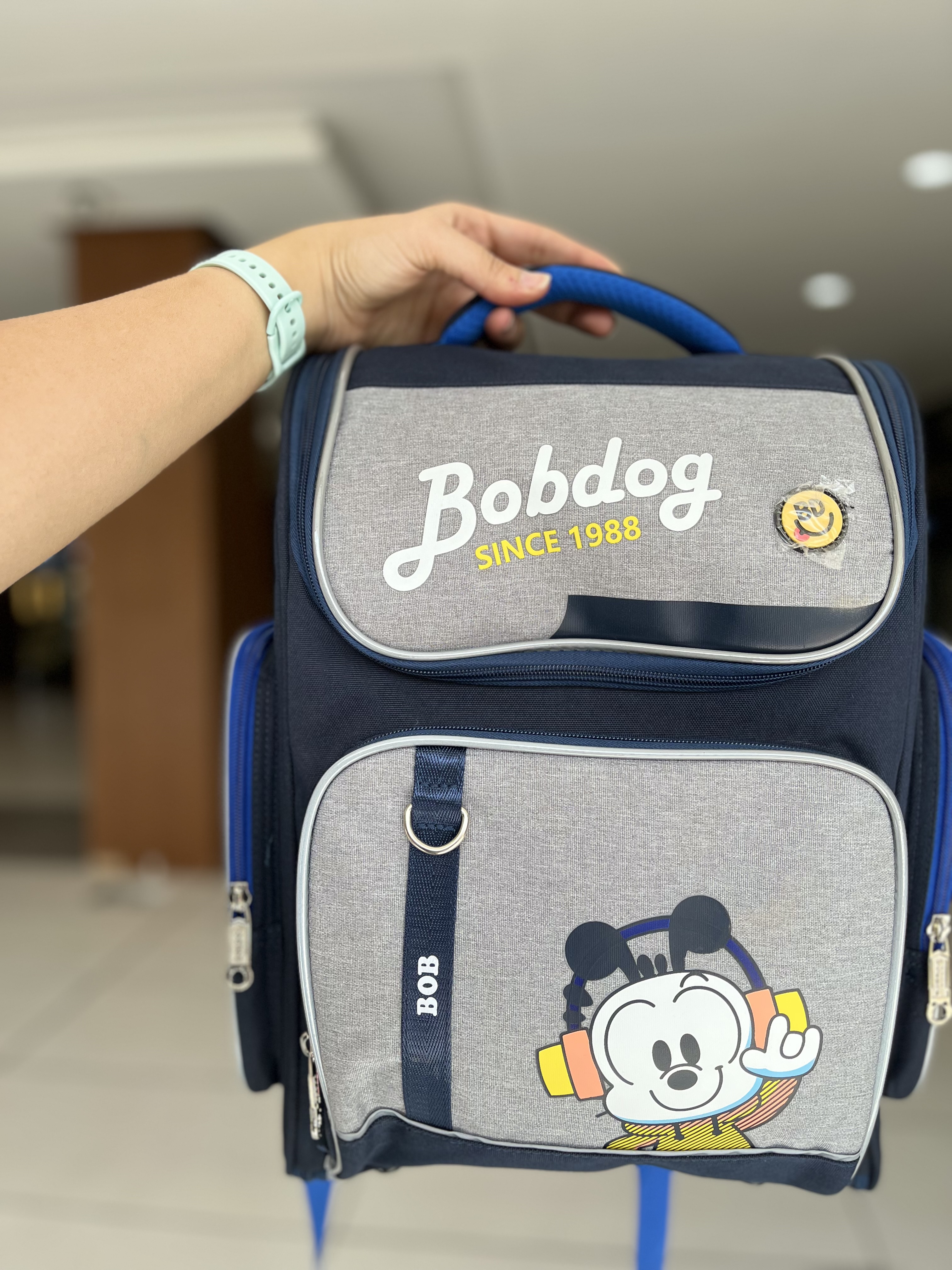 کوله پشتی صندوقی  پسرانه Bobdog